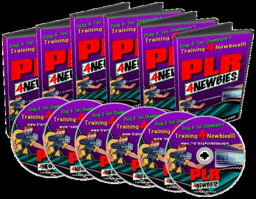 Product picture The PLR For Newbies Video Series